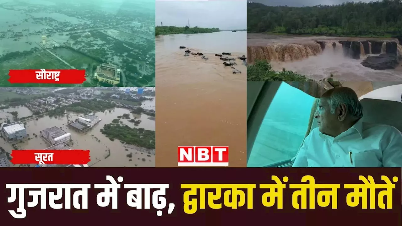 भारी बारिश से द्वारका में तीन की मौत, दक्षिण गुजरात के कई जिलों में स्कूल-काॅलेज बंद, IMD ने जारी किया 'रेड अलर्ट'