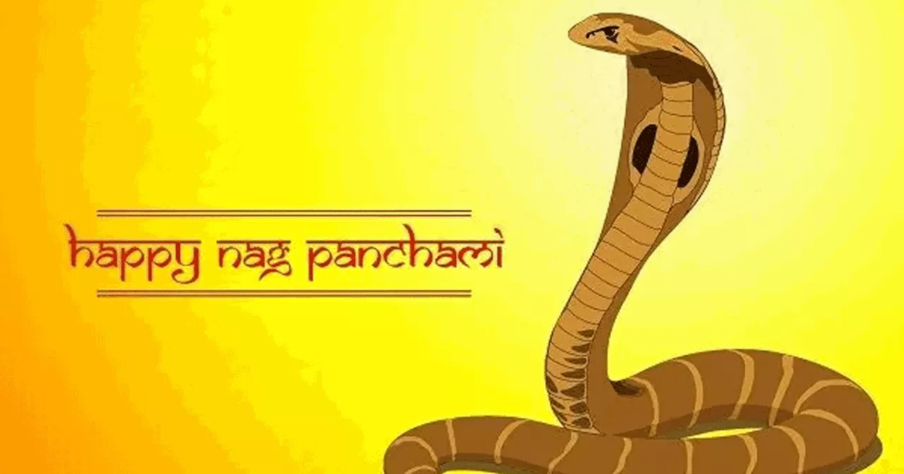 Nag Panchami 2024 : नाग का सबसे छोटा दांत सबसे विषैला, नाग के काटने से मृत्यु कैसे होती है जानें रहस्य