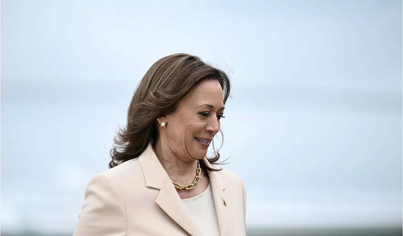 Harris' Wall Street allies strategize on private call, Rubin, Lasry, Wolf among them