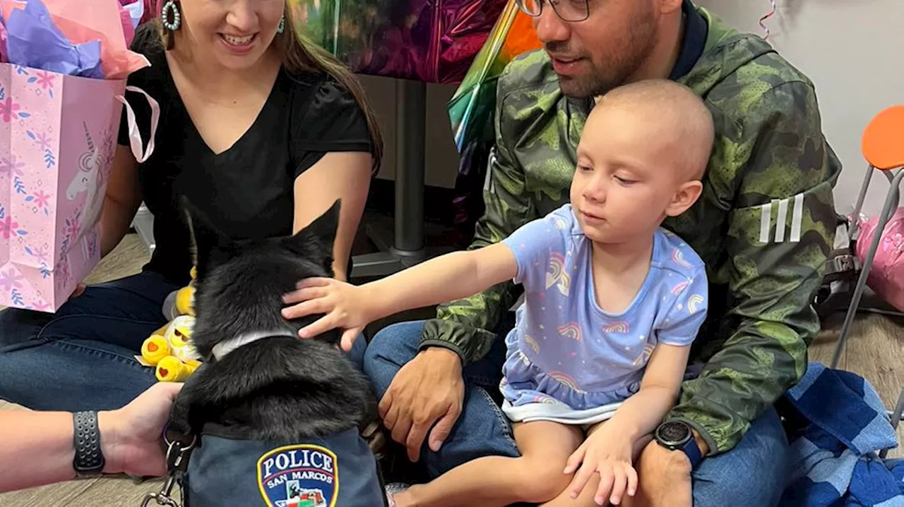 4-year-old leukemia patient celebrates birthday with police therapy dog