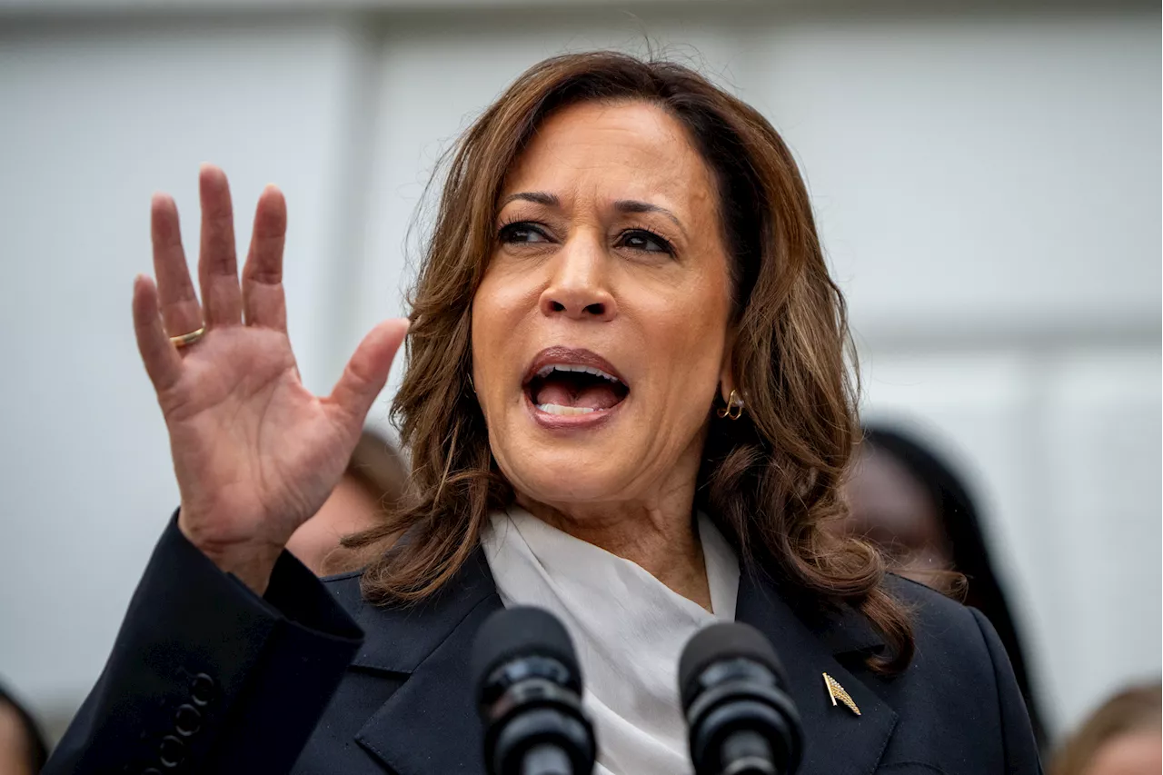 Hillary Clinton Eager for Kamala Harris' 'Case' Against Donald Trump