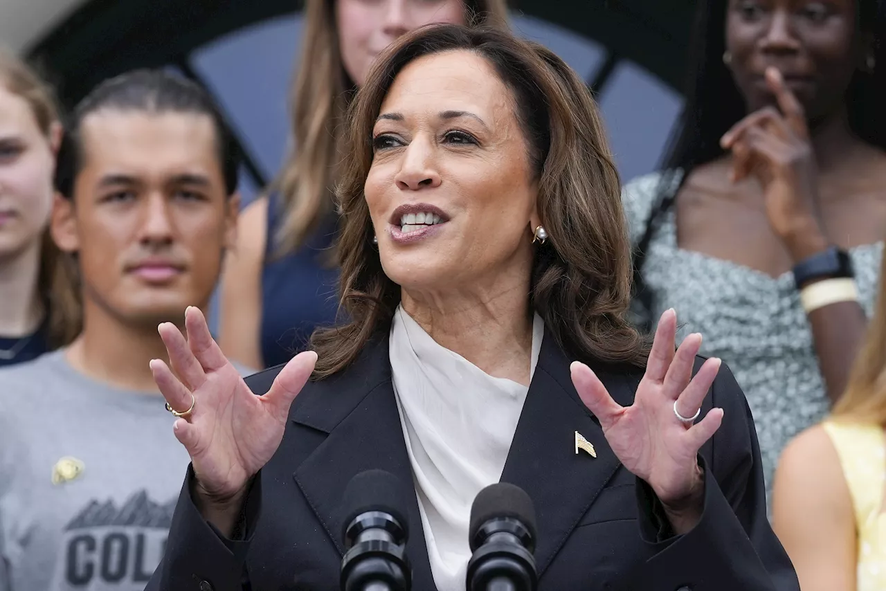 Kamala Harris Deepfake Removed By TikTok After Going Viral