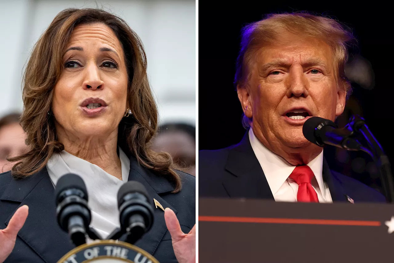 Kamala Harris vs. Donald Trump Debate Update