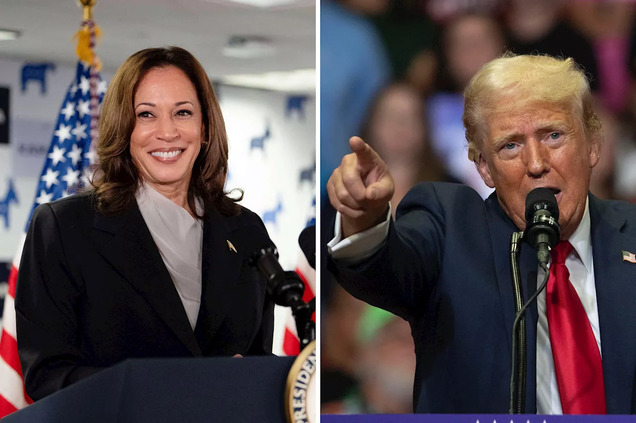 Mary Trump Says Kamala Harris 'Terrifies' Donald to 'Point of Incoherence'