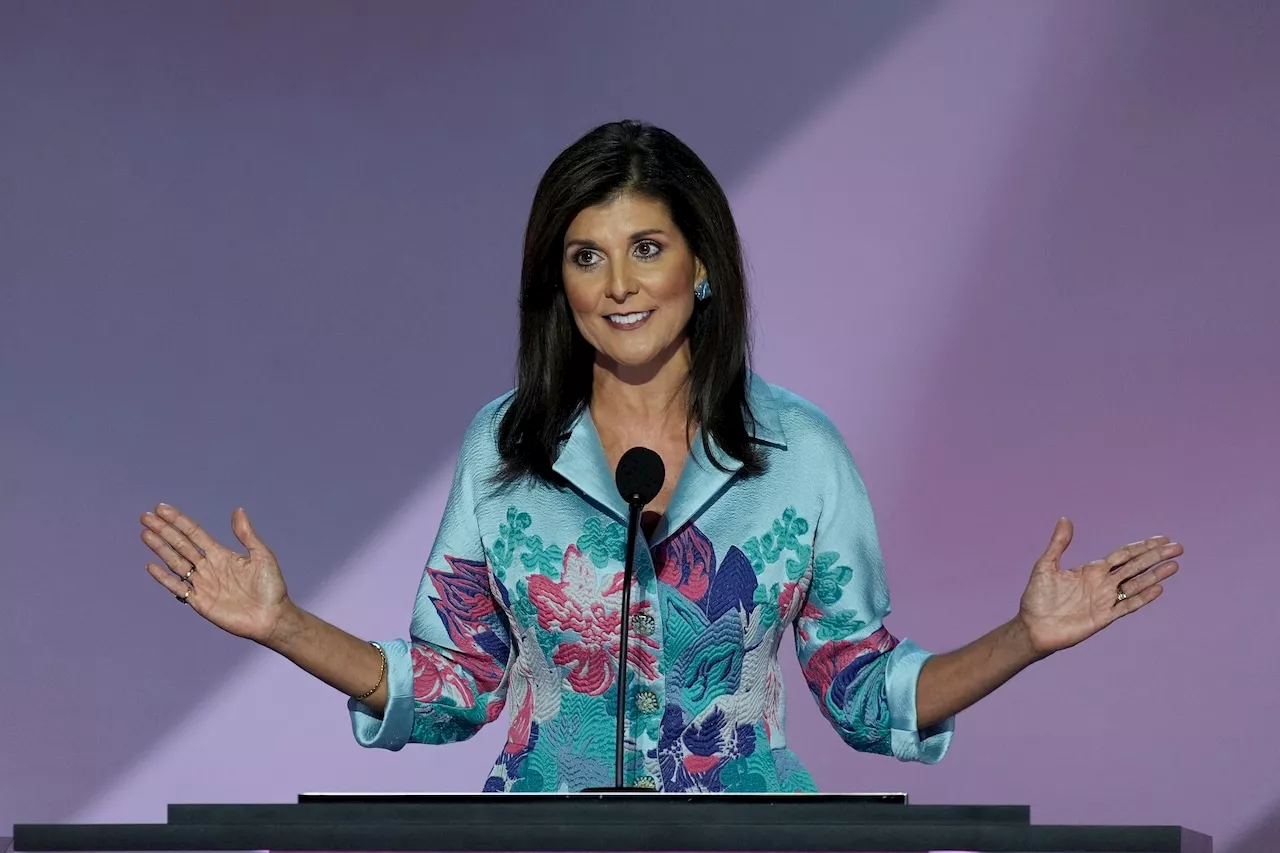 Former GOP congressman mocks Nikki Haley on latest move to help Donald Trump