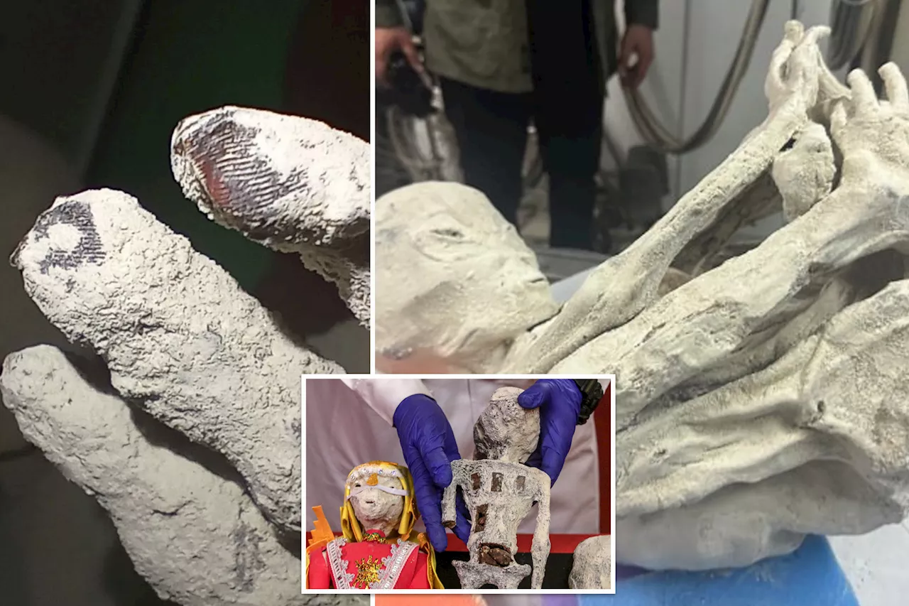 3-fingered 'alien mummies' found in Peru have fingerprints that do not appear to be human: report