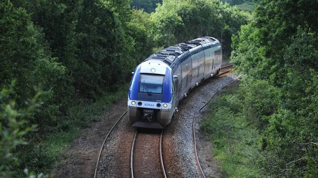 Un TER déraille dans les Pyrénées-Orientales, 5 blessés légers