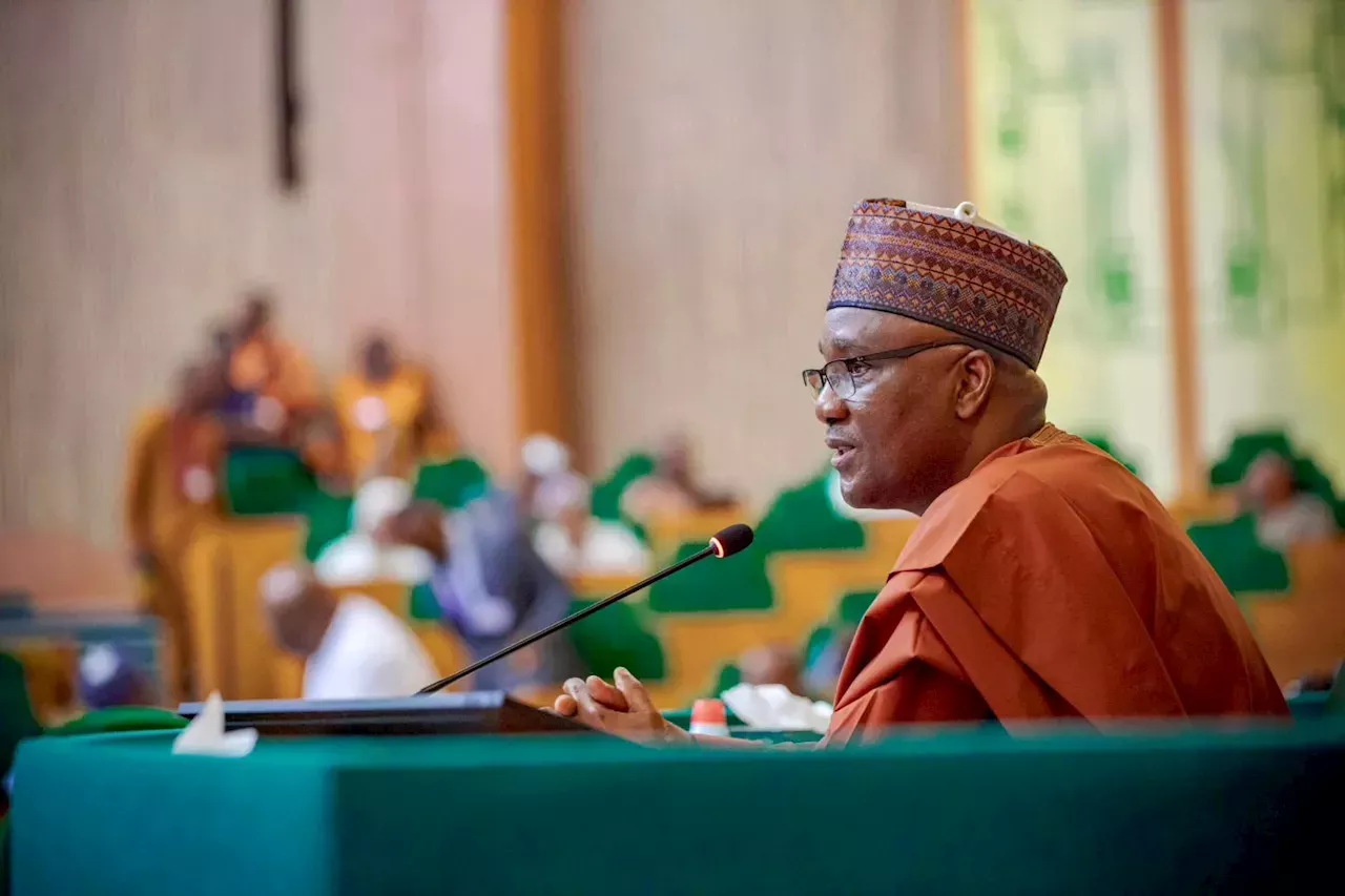 UPDATED Reps approve additional N6.2 trillion spending in 2024 budget