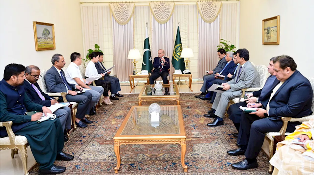 Chinese Trading Delegation Calls On PM: Shehbaz Sharif Directs To Provide Facilities To Chinese Companies