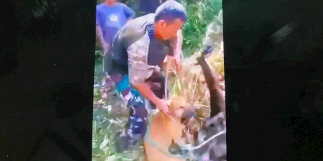 Siksa Anjing Peliharaan, Warga Soreang Dilaporkan ke Polisi