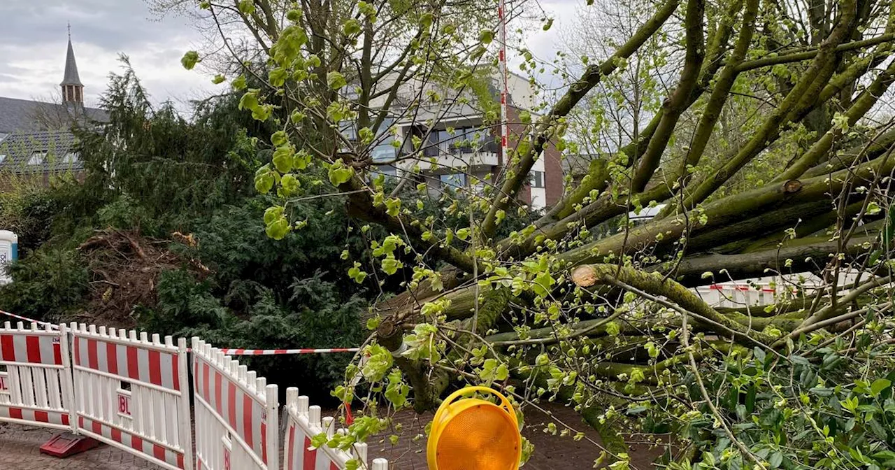 Tornados in Deutschland: Nimmt die Zahl der Wirbelstürme zu?​