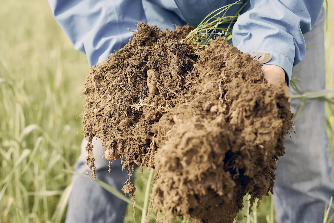 Landwirtschaft hat noch Potenzial