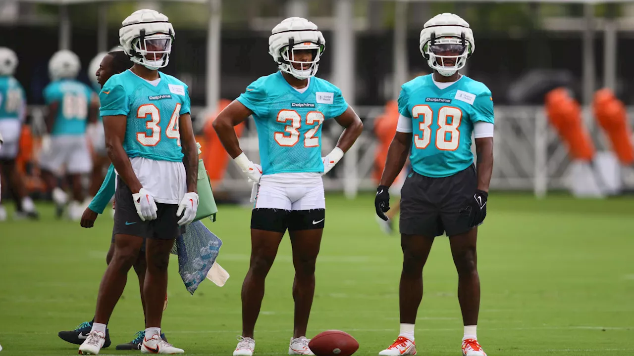 Miami Dolphins Training Camp: Day One Practice Report