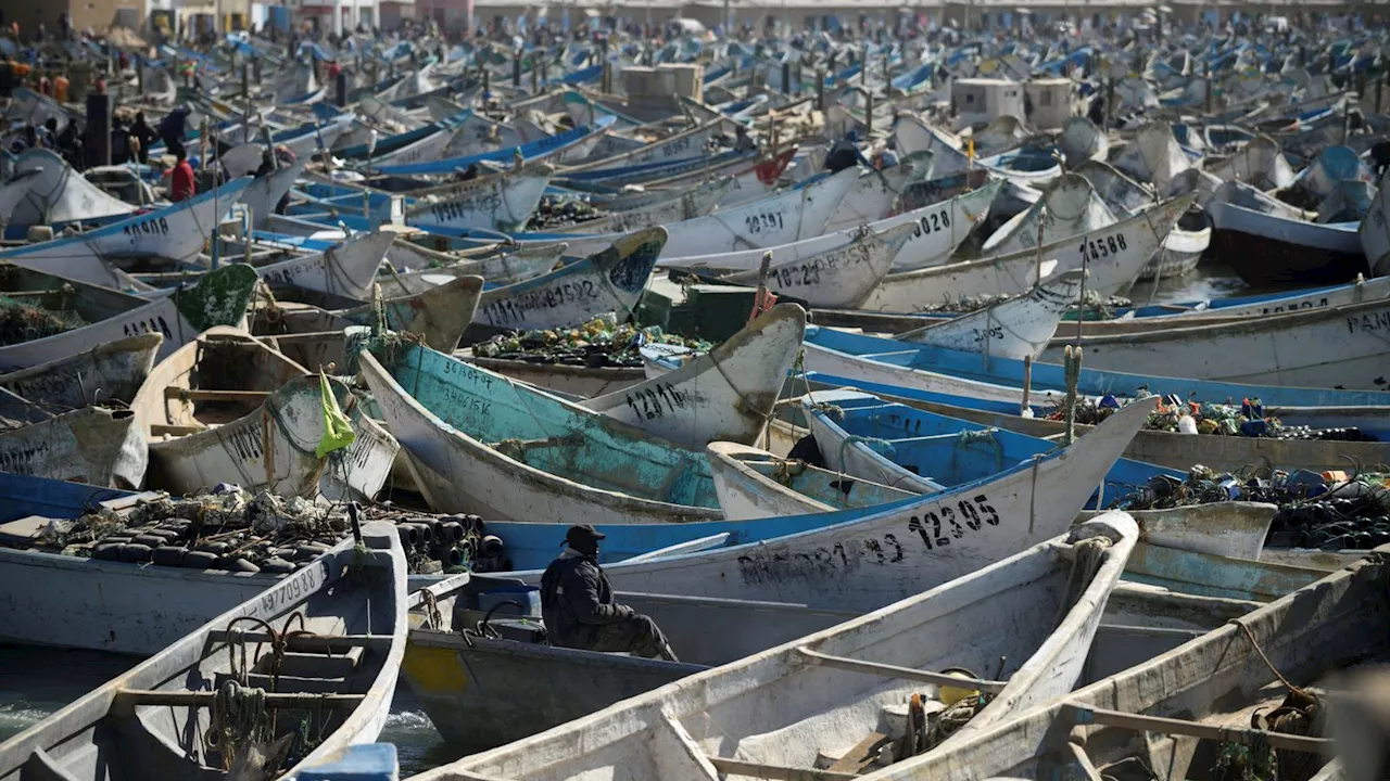 At least 15 dead and 150 missing after boat capsizes near Mauritania, UN organisation says