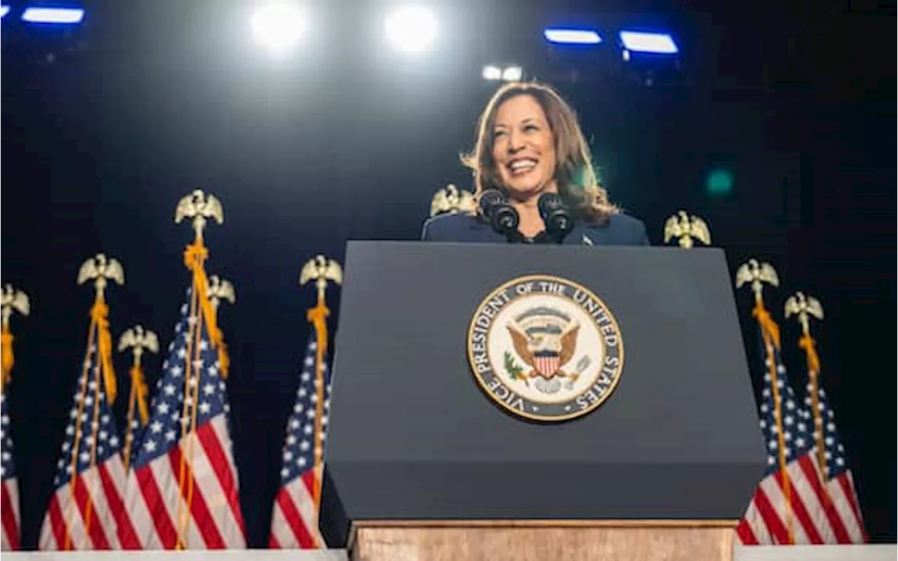 Elezioni Usa 2024, così la disinformazione online colpisce Kamala Harris