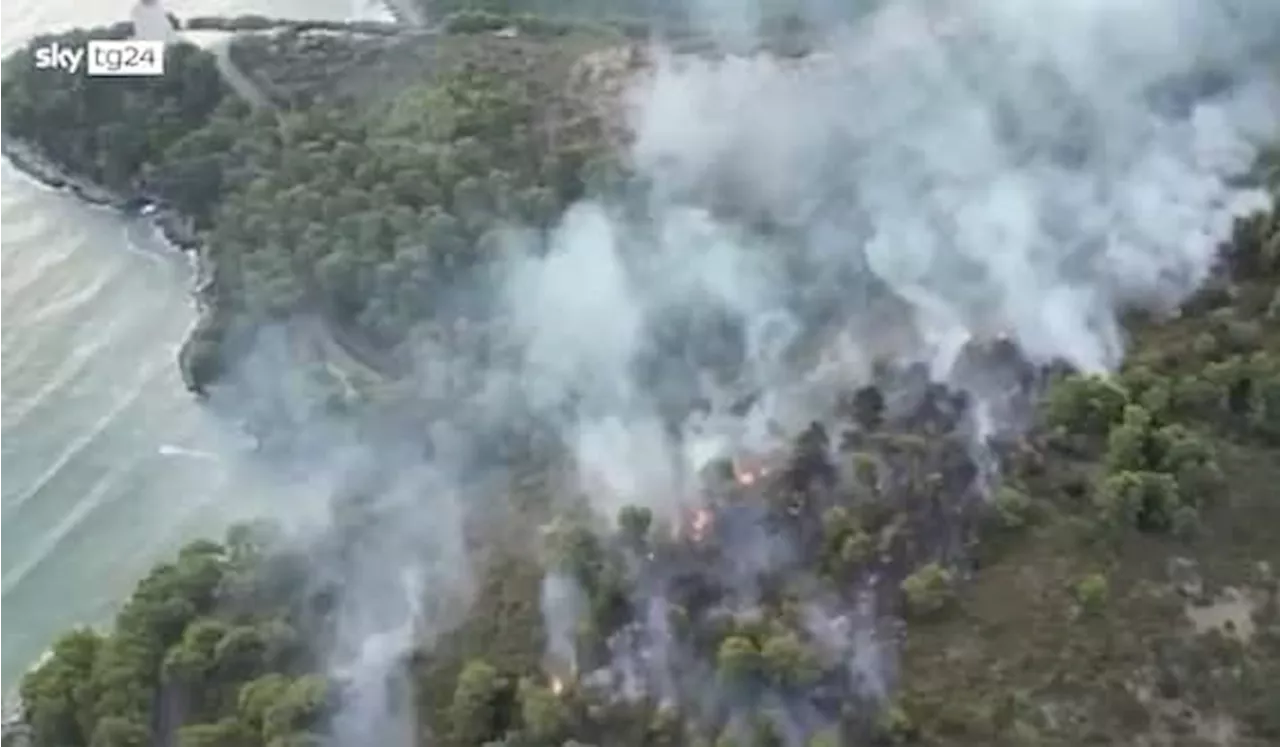 Vieste, incendio nel bosco della Baia San Felice: disposta evacuazione