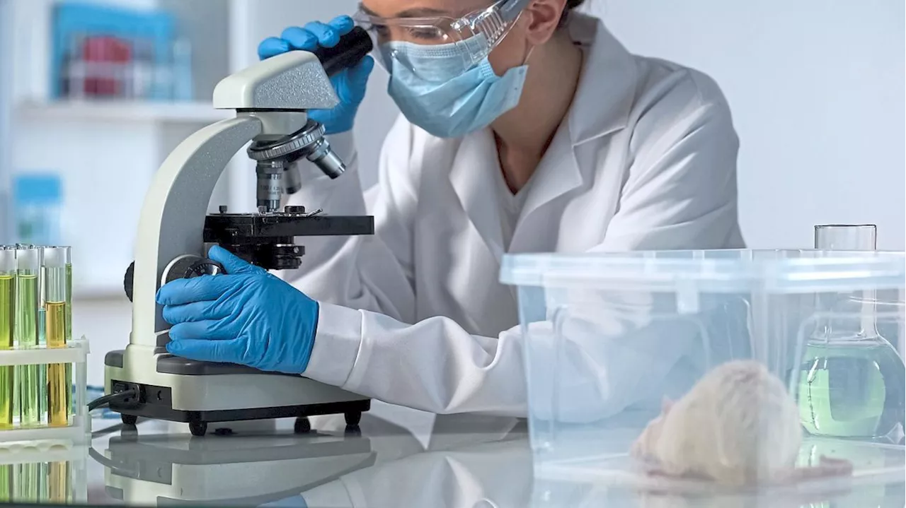 Sudden growth of white hairs on your nose could suggest cancer