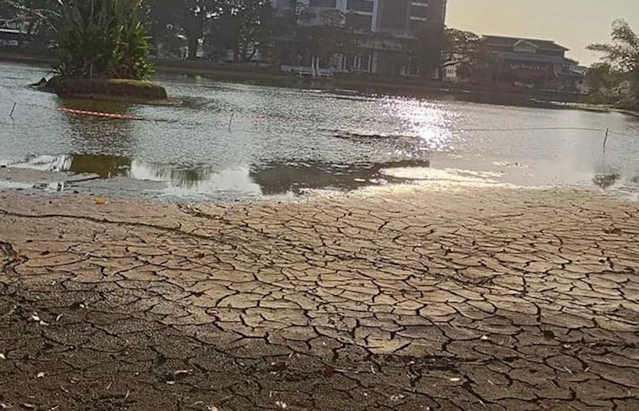 Taiping Lake Gardens drying up due to extreme weather