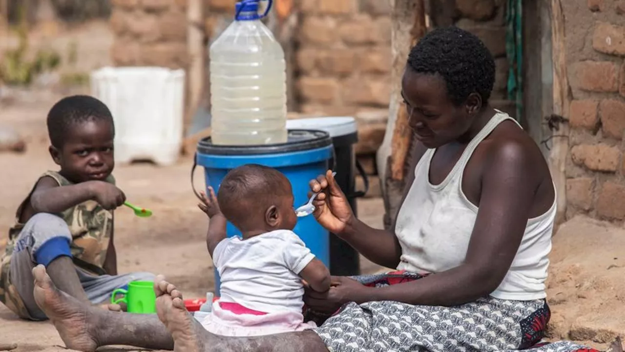 Ernährungslage: UN-Bericht: Rund 733 Millionen Menschen von Hunger betroffen