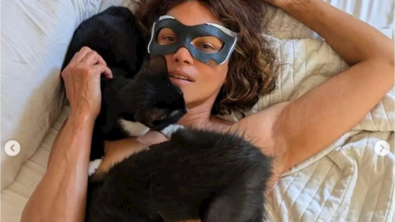 Miau und wow: Schauspielerin Halle Berry feiert 20 Jahre 'Catwoman'