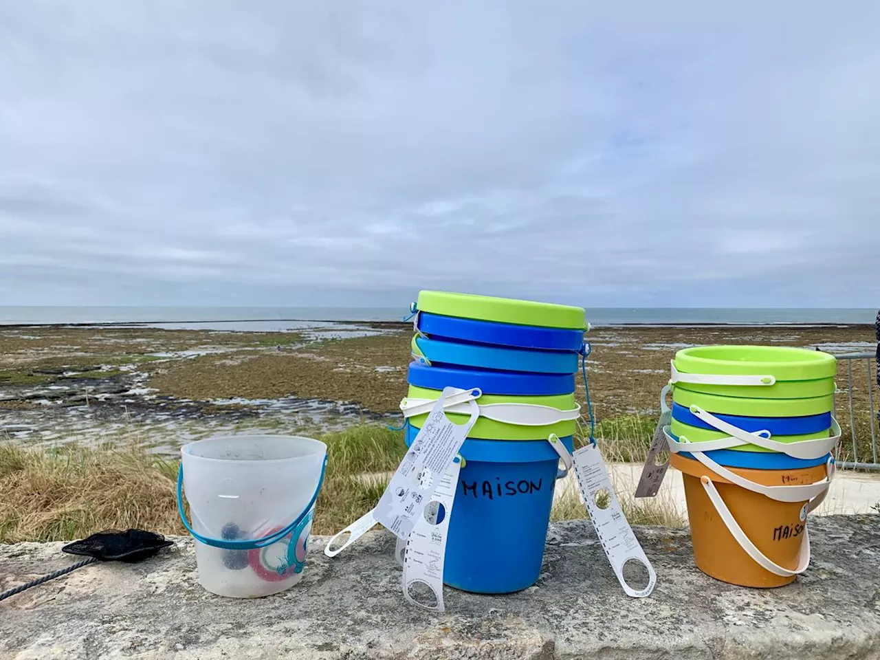 Île d’Oléron : les règles d’or pour une pêche à pied responsable