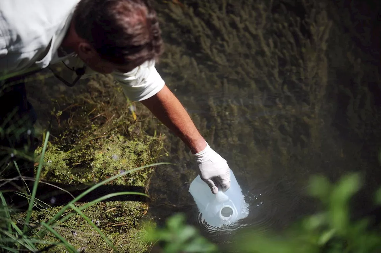 PFAS : les « polluants éternels » sont de plus en plus utilisés dans les pesticides aux États-Unis