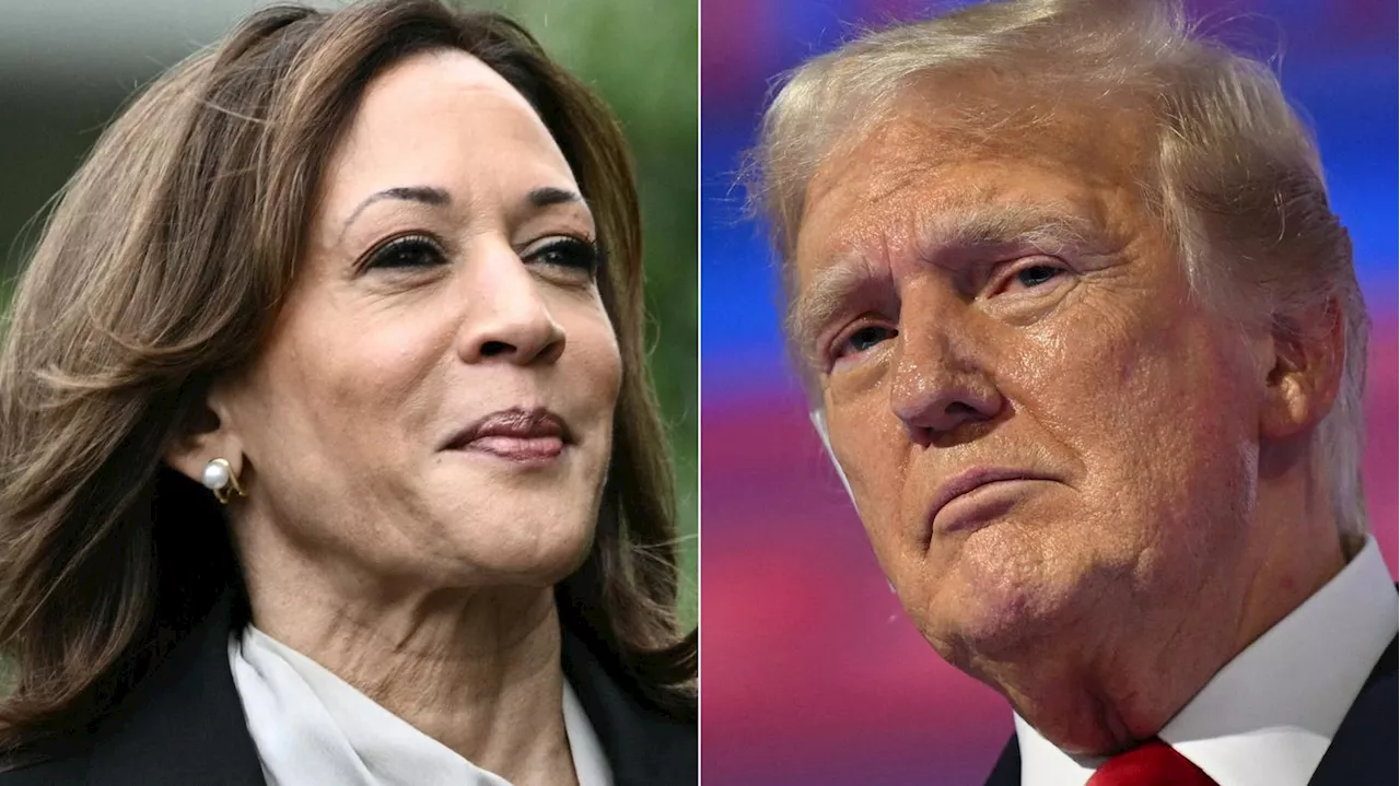 „Welle des Enthusiasmus“ für Kamala Harris: Was sind die weiteren Pläne der Demokraten gegen Trump?