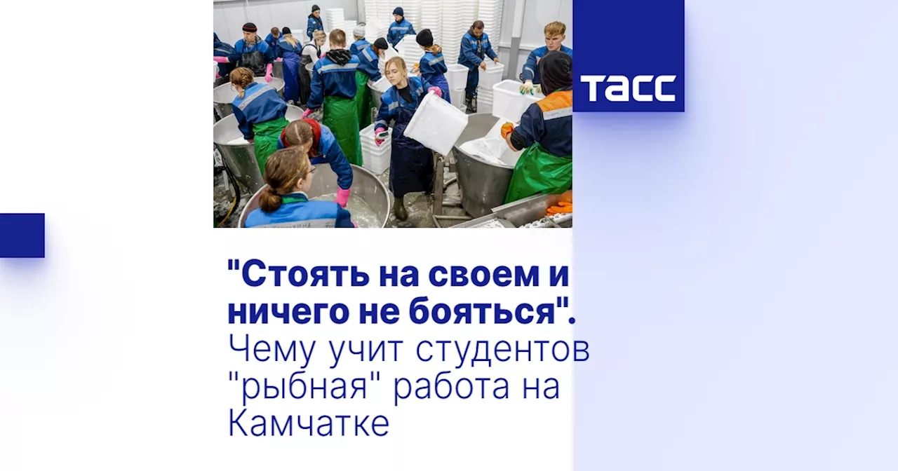 'Стоять на своем и ничего не бояться'. Чему учит студентов 'рыбная' работа на Камчатке