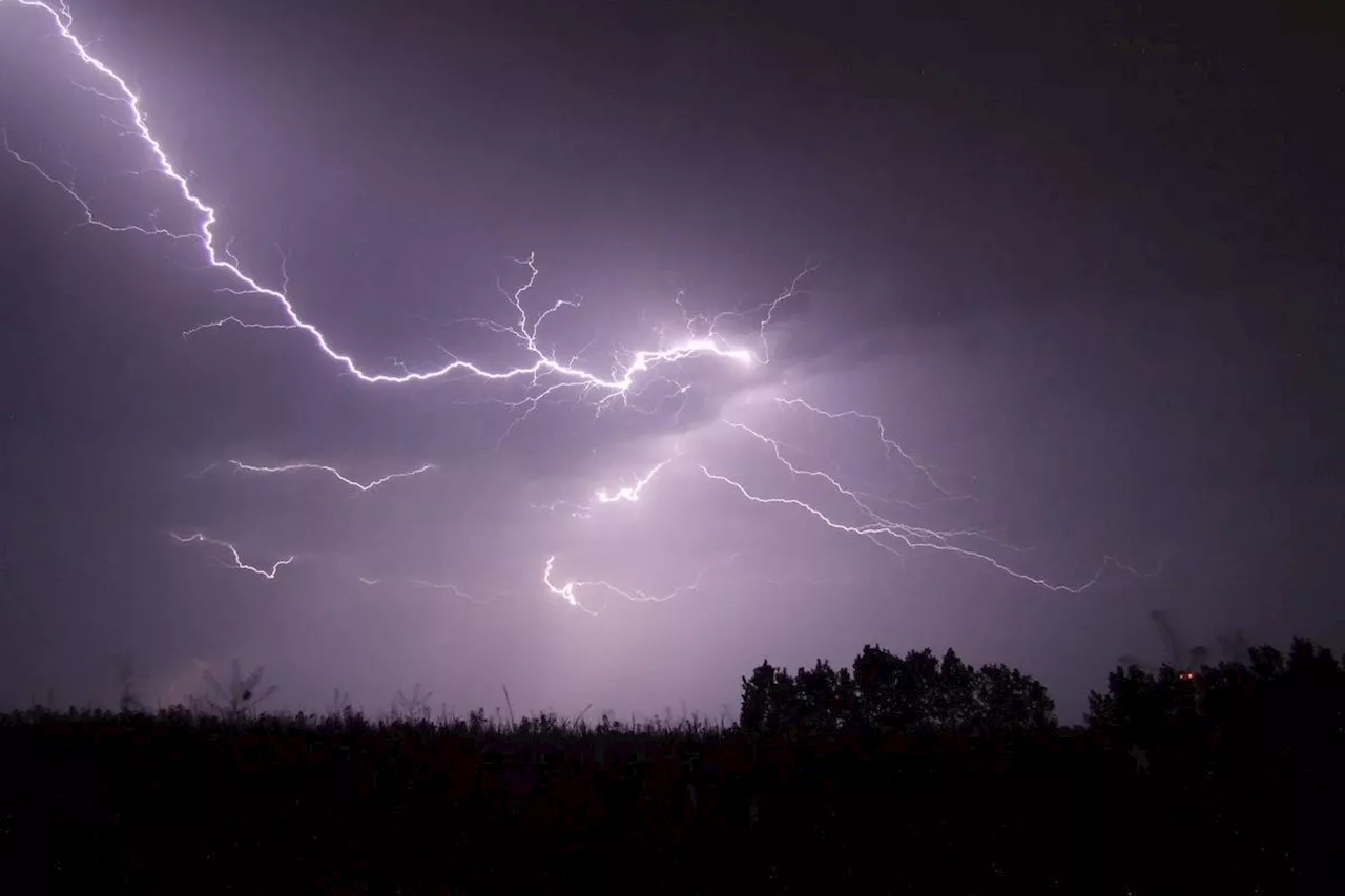 Lightning sparked 59 wildfires in Kamloops Fire Centre in past 5 days: BCWS