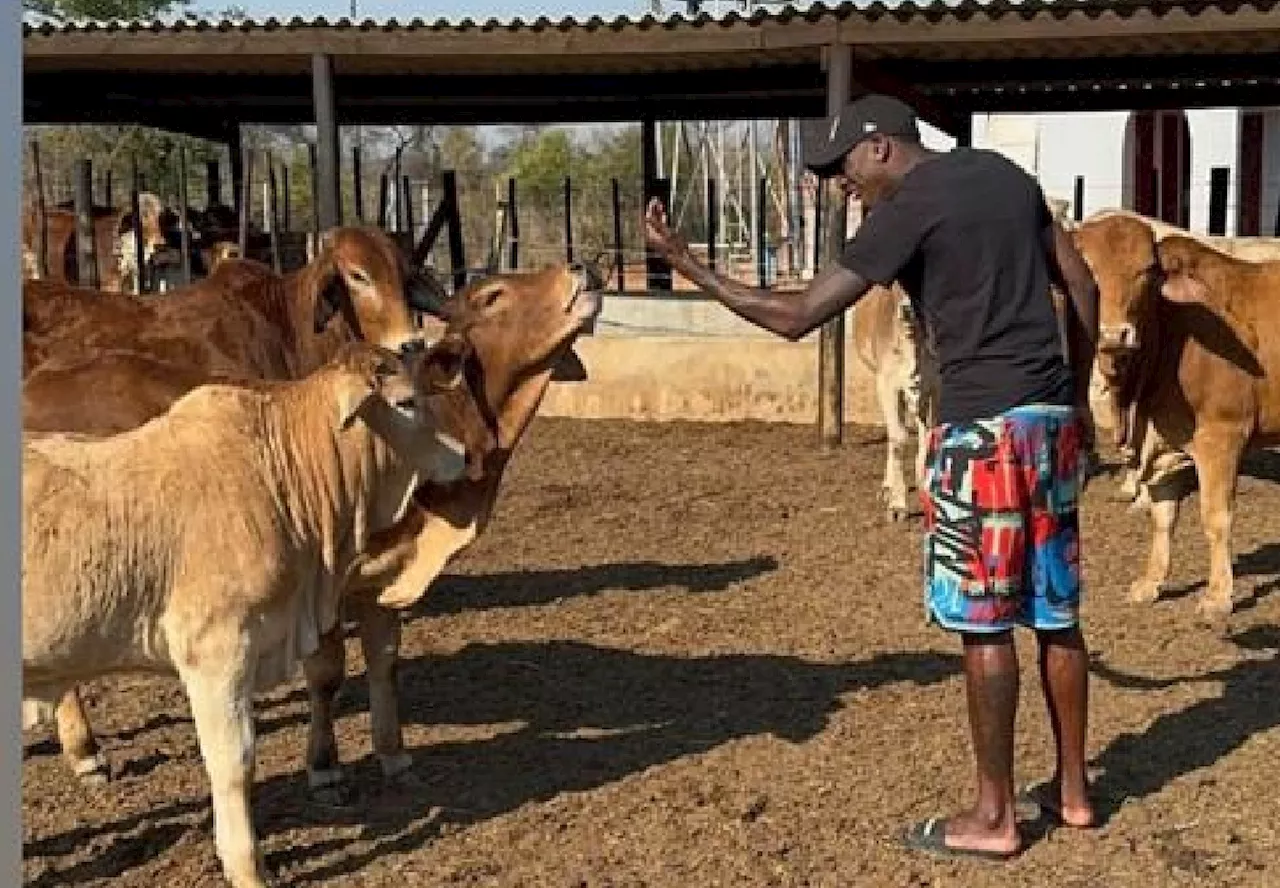 PICTURE: Ex-Kaizer Chiefs star now into cattle ranching