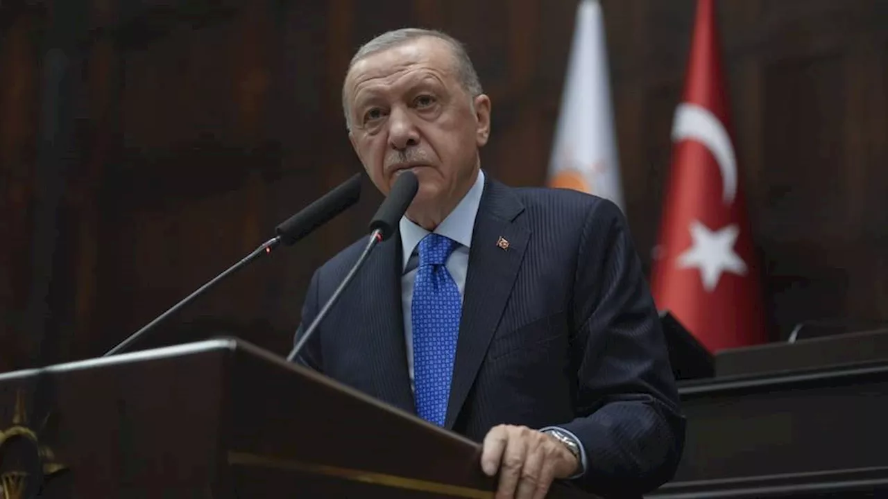 Türkiye monitors all steps of Greece, intervenes if necessary — Erdogan