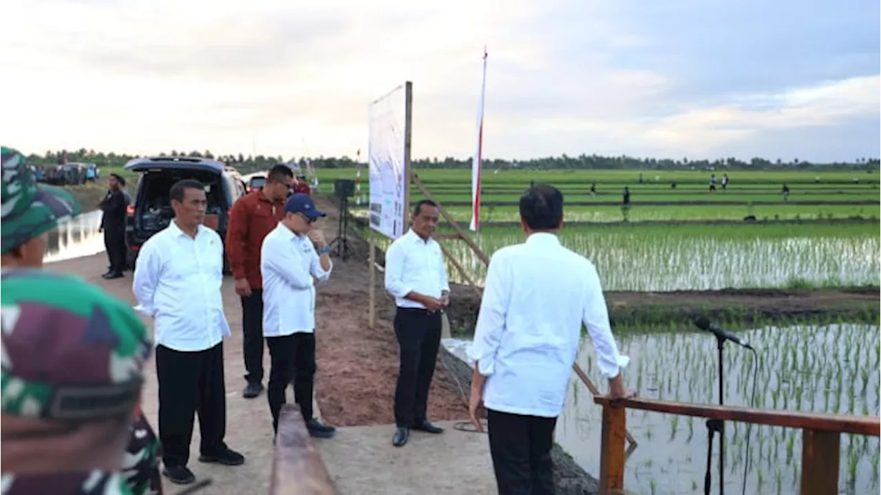 Jadikan Merauke Lumbung Pangan, Petani Sampaikan Hal Ini ke Jokowi, Prabowo dan Mentan