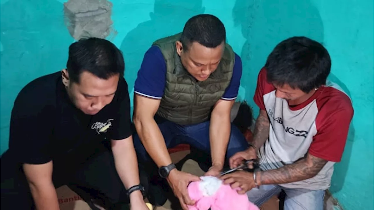 Seorang Pria Bawa 8 Boneka di Cipayung Jaktim Ditangkap Polisi, Ternyata ...