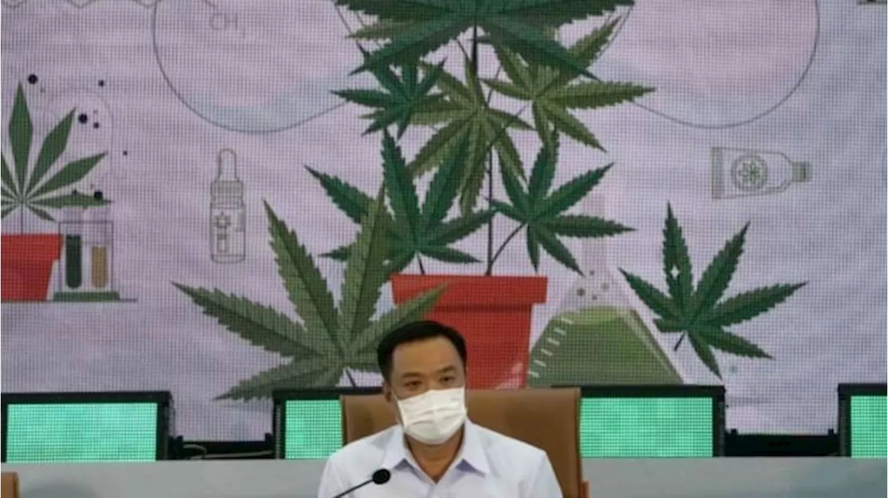 Thailand Bakal Legalkan Ganja untuk Keperluan Medis