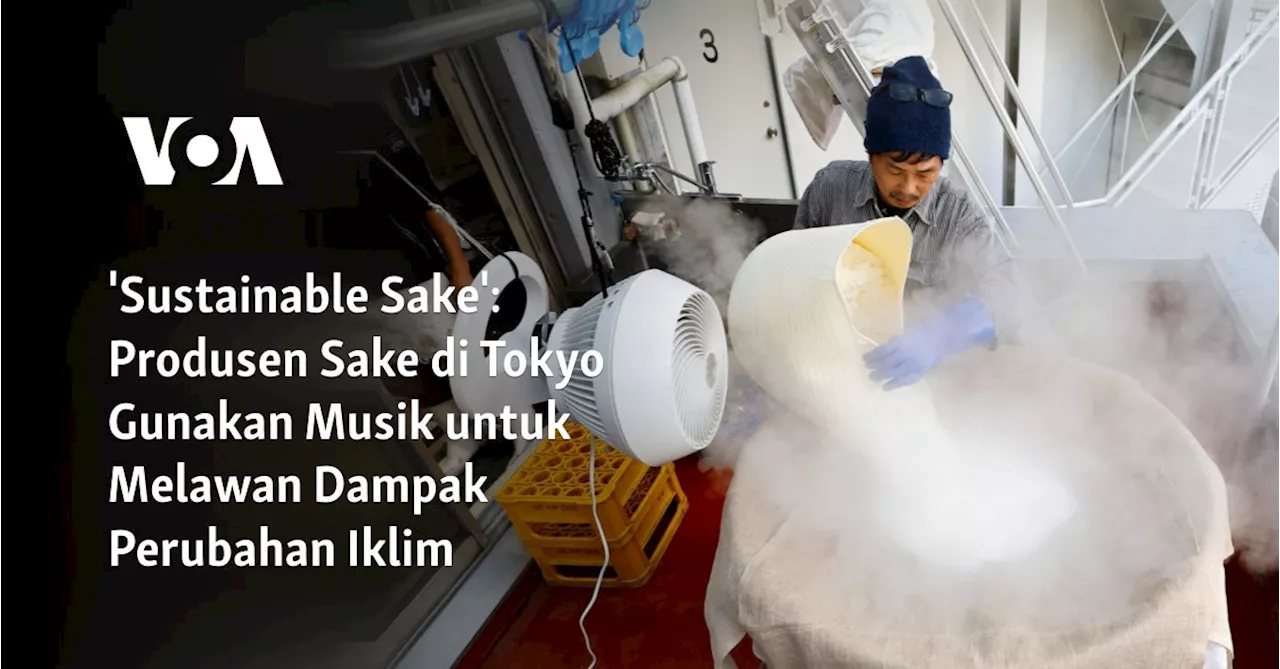 'Sustainable Sake': Produsen Sake di Tokyo Gunakan Musik untuk Melawan Dampak Perubahan Iklim