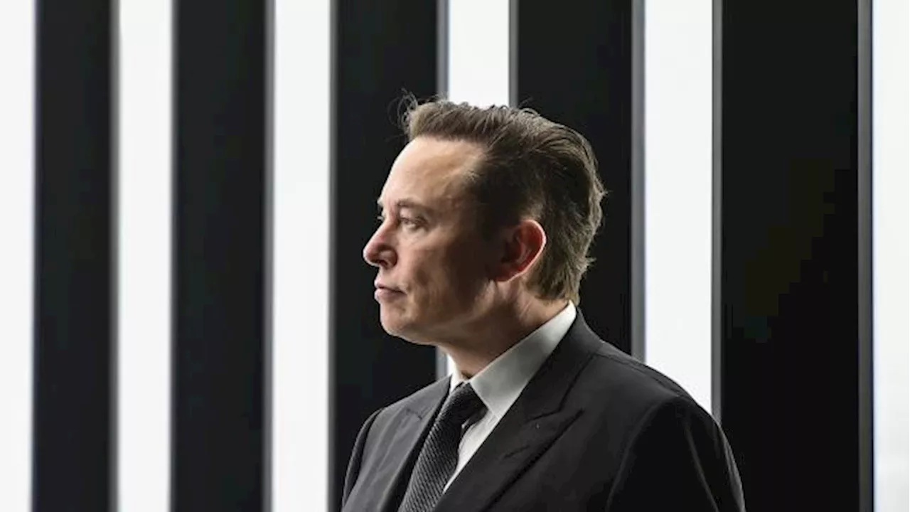 Tesla: 'Wenn Sie das nicht glauben, verkaufen Sie die Aktie', sagt Elon Musk