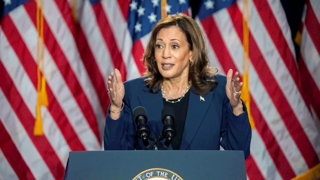 Kamala Harris posts huge fundraising haul