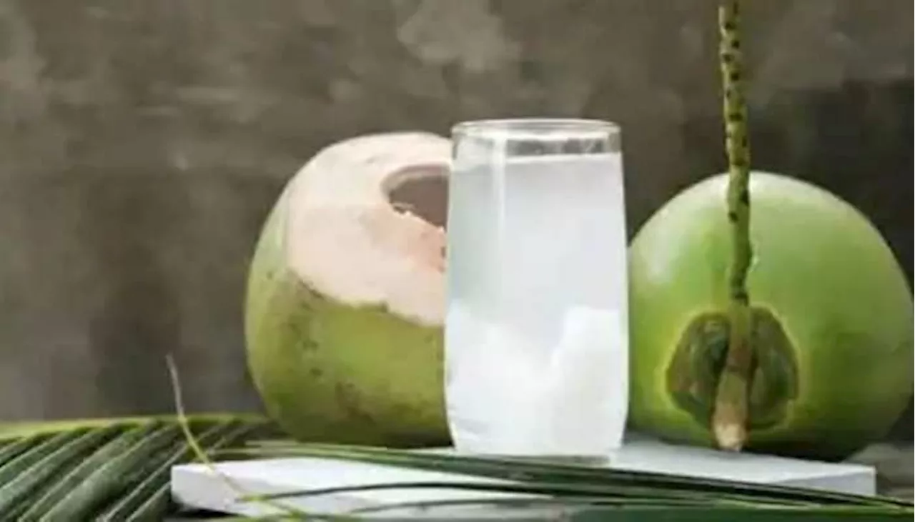 Coconut Water Benefits: బీపీ నుంచి గుండె వ్యాధుల వరకూ అన్నింటికీ చెక్ చెప్పే నీళ్లు