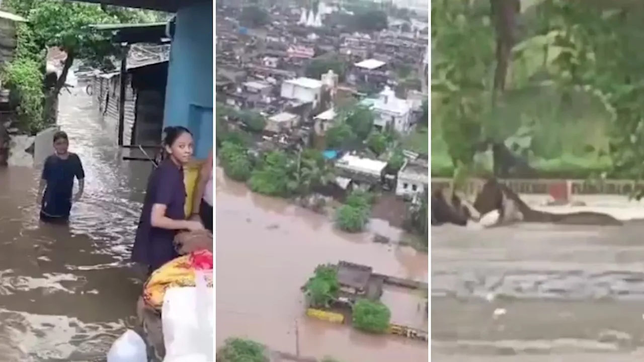 कहीं कमरभर पानी में घिरे लोग, कहीं बह गए घोड़े... मुंबई से गुजरात तक सैलाब के 15 डरावने Video