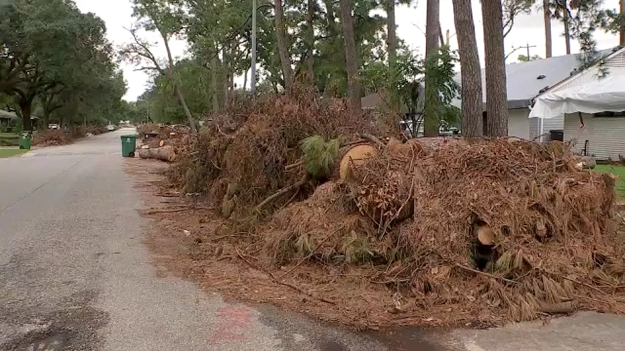 Neighbors worry storm debris could clog drains ahead of ABC13 Weather Alert Day