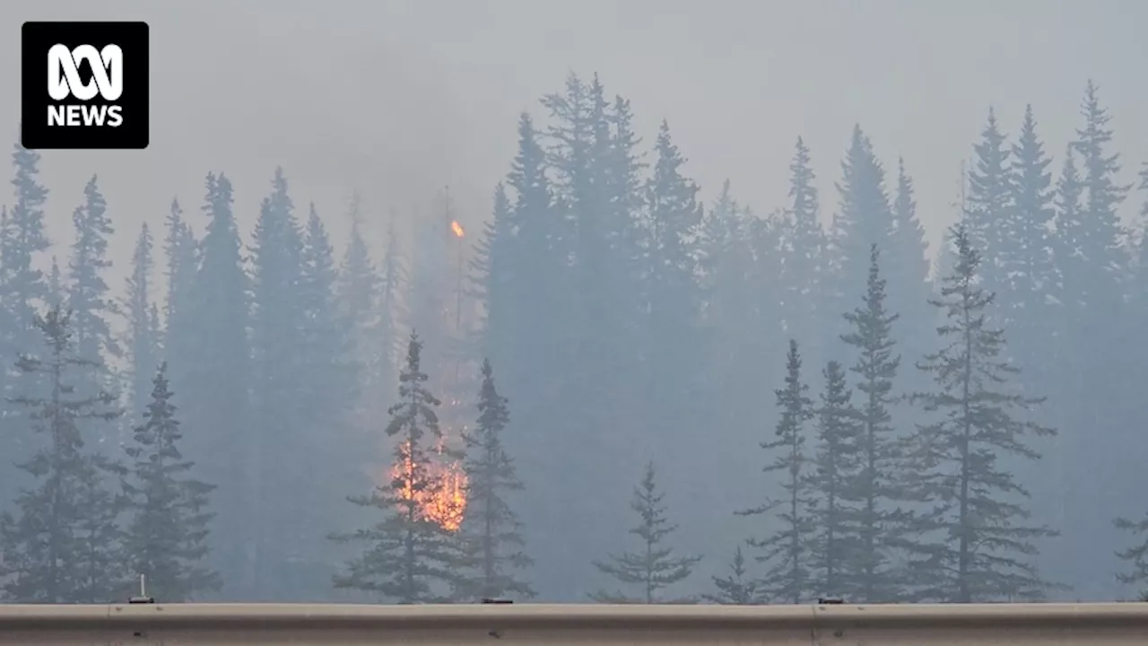 Canada firefighters battle to protect oil pipeline as wildfires reach Jasper