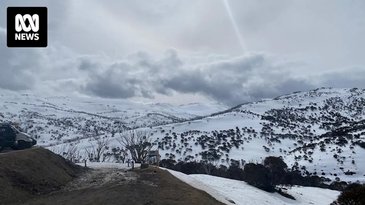 Inquest into Andrew Seton's backcountry skiing death in Kosciuszko National Park concludes in Coroners Court