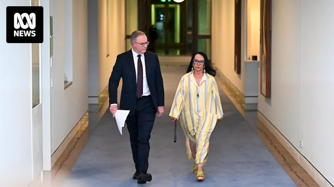 Linda Burney, Brendan O'Connor to retire from politics as Albanese reshuffles ministry