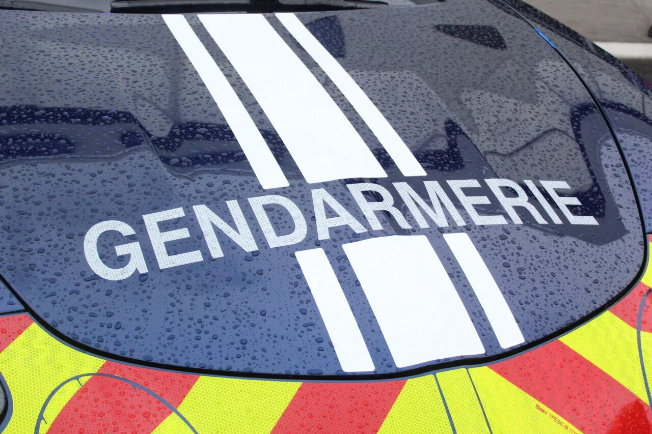 La gendarmerie de Haute-Savoie lance un appel à témoins pour retrouver quatre adolescents disparus