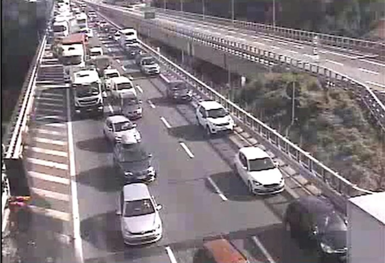 Autostrade Alto Adriatico, 220 operatori per giorni bollino nero