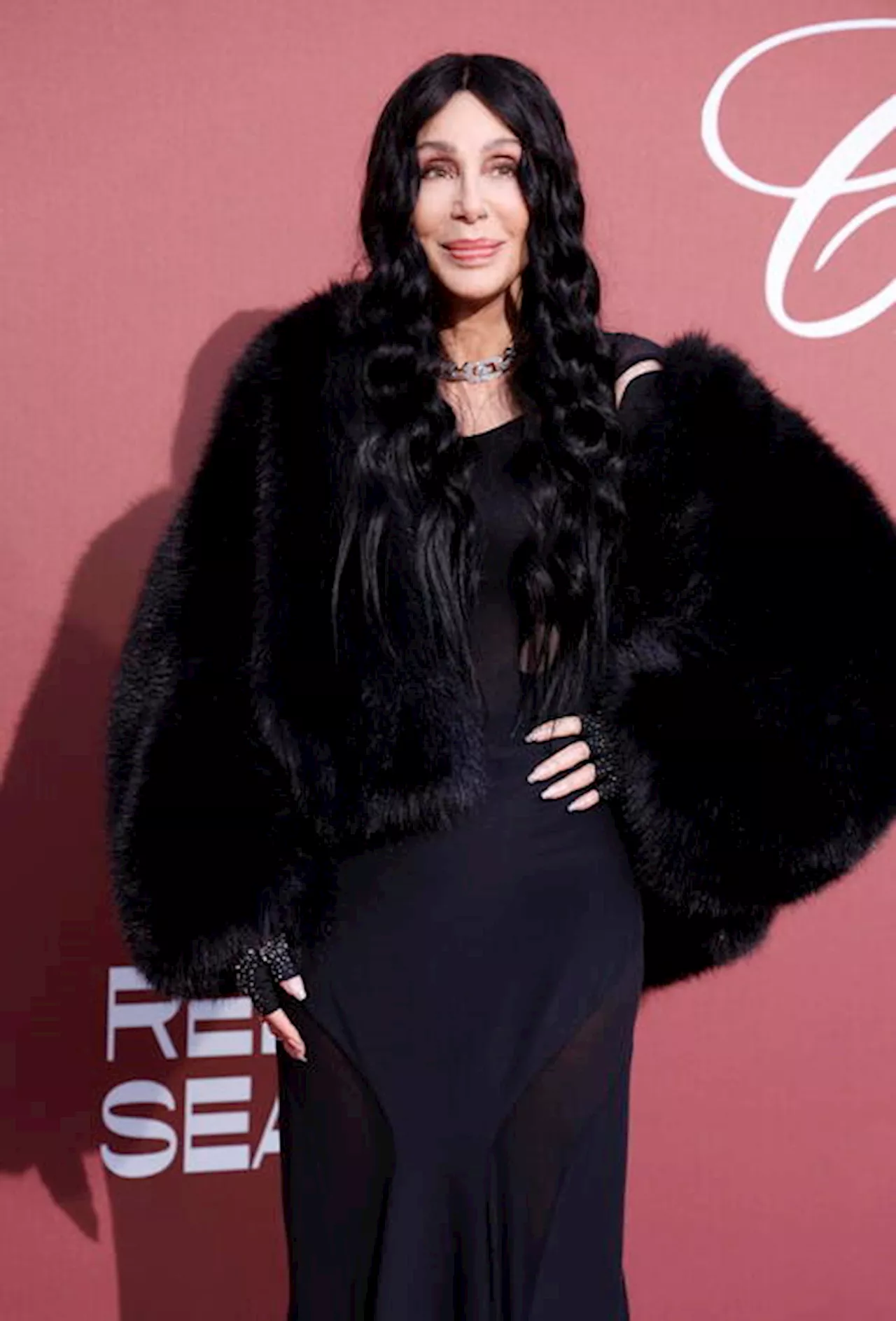 Cher, il memoir in due parti a partire da novembre