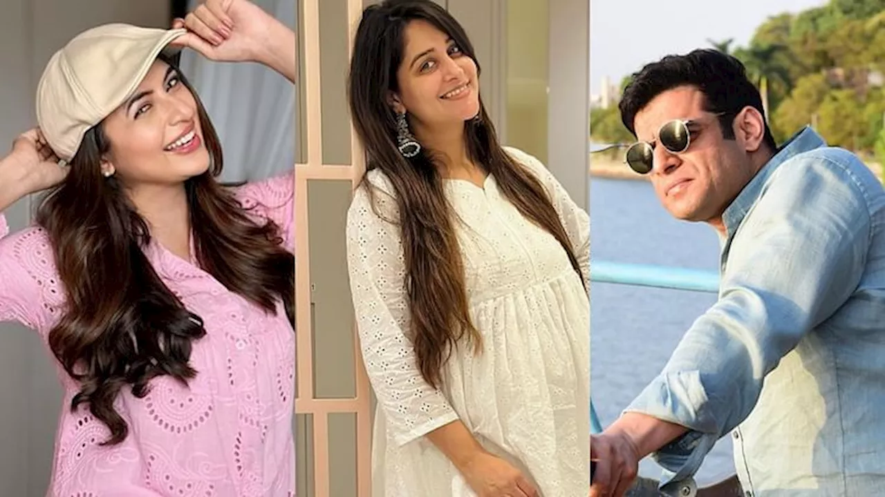 TV Celebs: टीवी के इन हिट कलाकारों का नहीं हो रहा कमबैक, काम की तलाश में दर-दर भटके रहे हैं सेलेब्स