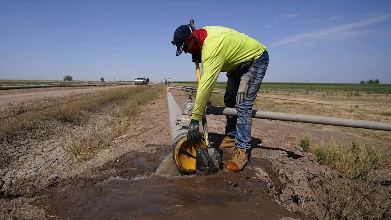 A plan to replenish the Colorado River could mean dry alfalfa fields. And many farmers are for it