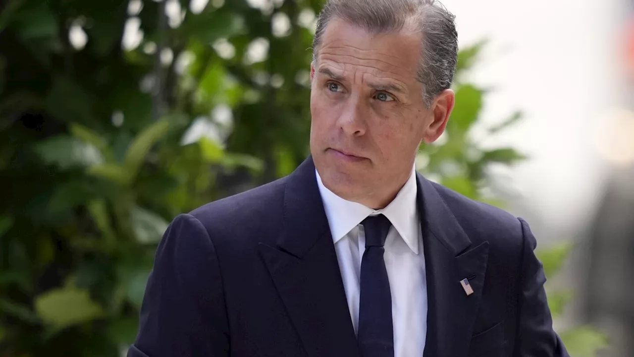 Judge threatens to sanction Hunter Biden's legal team over 'false statements' in a court filing