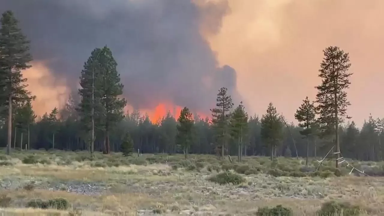 Wildfires rage in Oregon, including largest one in US